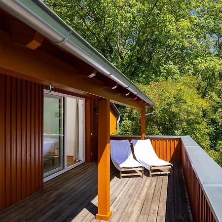 Bed & Breakfast Raum & Reben - Welschriesling