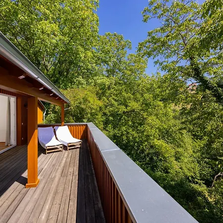 Raum & Reben - Welschriesling 3* Kitzeck im Sausal